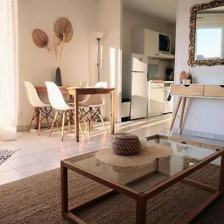 Centre Avec Piscine Et Parking Prive Apartment *
