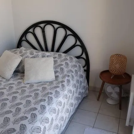 Centre Avec Piscine Et Parking Prive Hyeres